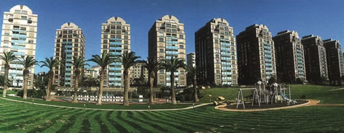 9 Palmiye